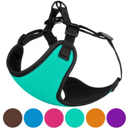 Harness for small breed dogs Bronzedog Sport Neoprene 3D Mesh Turquoise