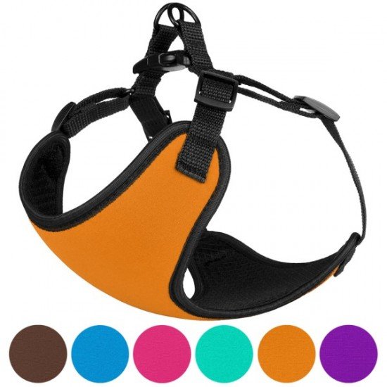 Harness for small breed dogs Bronzedog Sport Neoprene 3D Mesh Orange