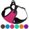 Harness for small breed dogs Bronzedog Sport Neoprene 3D Mesh Pink