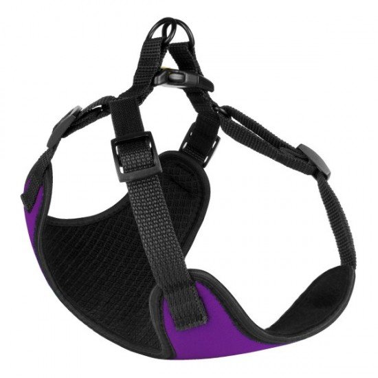 Harness for small breed dogs Bronzedog Sport Neoprene 3D Mesh Violet