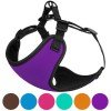 Harness for small breed dogs Bronzedog Sport Neoprene 3D Mesh Violet