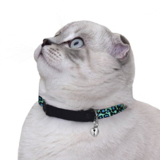 Collar for cat Bronzedog Urban Leopard Nylon Plastic Buckle and Bell Turquoise