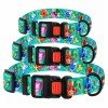 Collar for dogs BronzeDog Urban Folk Nylon Plastic Buckle Menthol