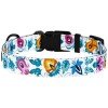 Collar for dogs BronzeDog Urban Folk Nylon Plastic Buckle White