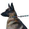 Collar for dogs BronzeDog Urban Diamonds Nylon Plastic Buckle