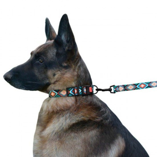 Collar for dogs BronzeDog Urban Diamonds Nylon Plastic Buckle