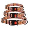 Collar for dogs BronzeDog Urban Flowers Nylon Plastic Buckle Beige