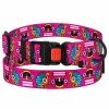 Collar for dogs BronzeDog Urban Masks Nylon Plastic Buckle Pink