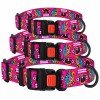 Collar for dogs BronzeDog Urban Masks Nylon Plastic Buckle Pink