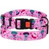 Collar for dogs BronzeDog Urban Flowers Nylon Plastic Buckle Pink