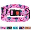 Collar for dogs BronzeDog Urban Flowers Nylon Plastic Buckle Pink