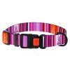 Collar for dogs BronzeDog Urban West nylon plastic buckle Violet