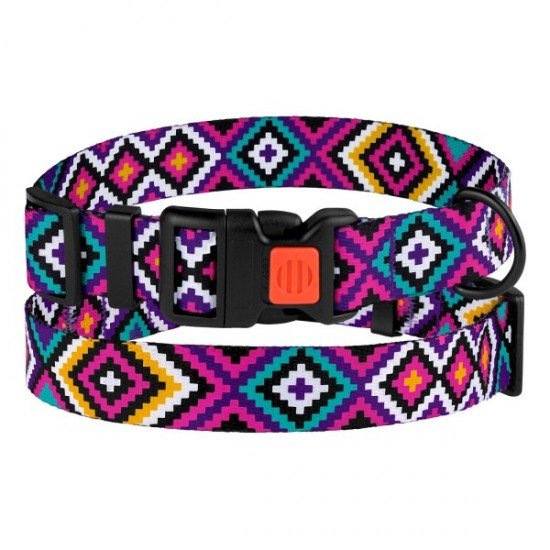 Collar for dogs BronzeDog Urban Hutsulsky Nylon Plastic Buckle Violet