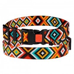 Collar for dogs BronzeDog Urban Hutsulsky nylon plastic buckle Orange