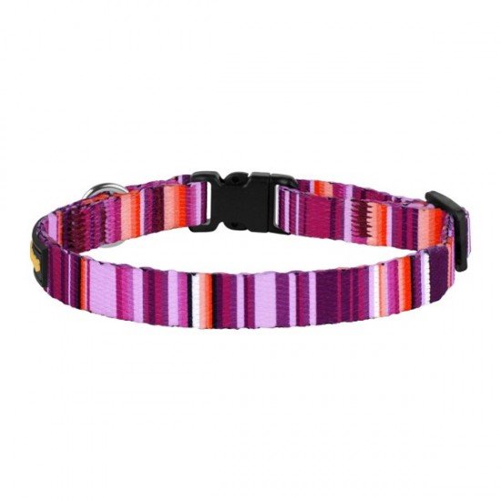 Collar for cat Bronzedog Urban West Nylon Plastic Buckle and Bell Violet