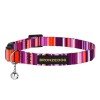 Collar for cat Bronzedog Urban West Nylon Plastic Buckle and Bell Violet