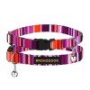 Collar for cat Bronzedog Urban West Nylon Plastic Buckle and Bell Violet