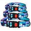 Collar for dogs BronzeDog Urban Travel Nylon Plastic Buckle Arctic