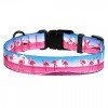 Collar for dogs BronzeDog Urban Travel Nylon Plastic Buckle Flamingo