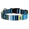 Collar for dogs BronzeDog Urban West nylon plastic buckle Dark Blue