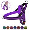 Breastplates for dogs BronzeDog Mesh Scandinavian Violet