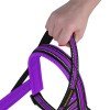 Breastplates for dogs BronzeDog Mesh Scandinavian Violet