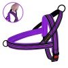 Breastplates for dogs BronzeDog Mesh Scandinavian Violet