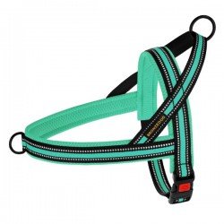 Breastplates for dogs BronzeDog Mesh Scandinavian Menthol Breastplates for dogs BronzeDog Mesh Scandinavian Menthol