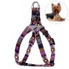 Breastplates for small breed dogs and cats BronzeDog Urban Ethnic Violet