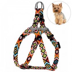 Breastplates for small breed dogs and cats BronzeDog Urban York Orange