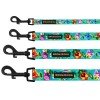 Leash for dogs BronzeDog Urban Folk Nylon Menthol