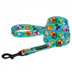 Leash for dogs BronzeDog Urban Folk Nylon Menthol