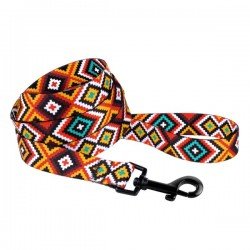 Leash for dogs BronzeDog Urban Hutsulsky Nylon Orange