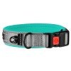 Collar for Dogs BronzeDog Sport Cipo Turquoise