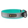 Collar for Dogs BronzeDog Sport Cipo Turquoise