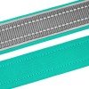 Collar for Dogs BronzeDog Sport Cipo Turquoise