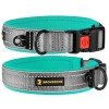 Collar for Dogs BronzeDog Sport Cipo Turquoise