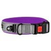 Collar for Dogs BronzeDog Sport Cipo Violet