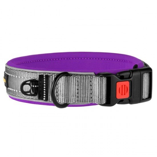 Collar for Dogs BronzeDog Sport Cipo Violet