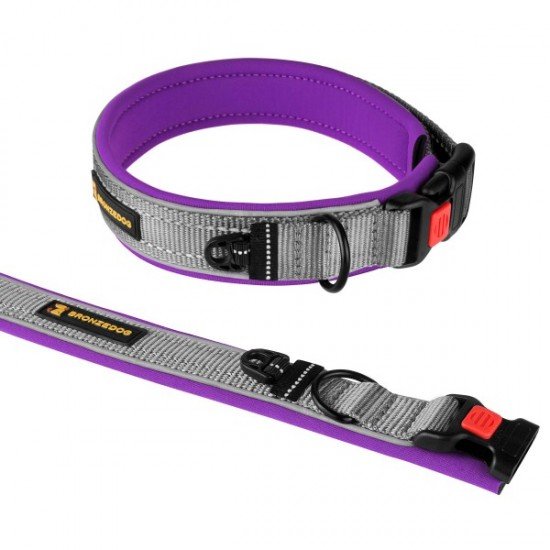 Collar for Dogs BronzeDog Sport Cipo Violet