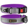 Collar for Dogs BronzeDog Sport Cipo Violet