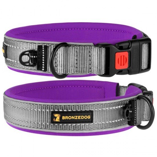 Collar for Dogs BronzeDog Sport Cipo Violet