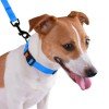 Collar for dogs BronzeDog Active Water-repellent Plastic Buckle Blue