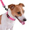 Leash for dogs Bronzedog Active water-repellent Pink